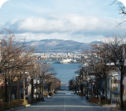 旅行ルート